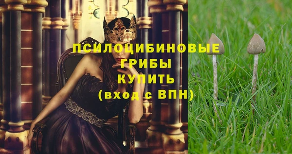 мет Балахна